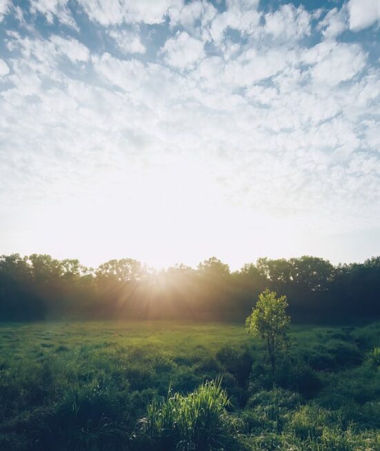 Paysage naturel illustrant l’engagement environnemental et la démarche responsable.