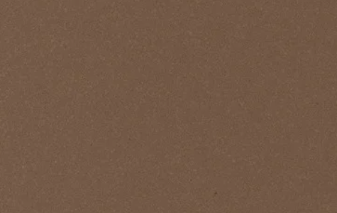 camel_vignette Couleur Camel.