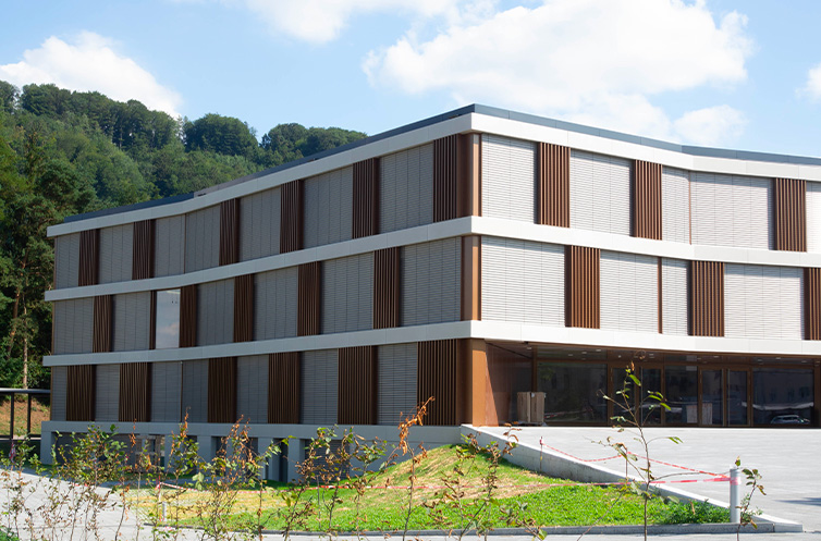 Collège du Fey